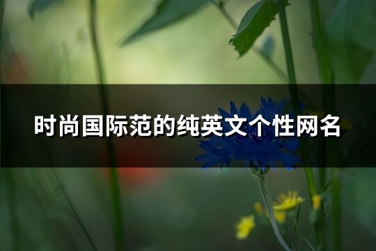 時尚國際范的純英文個性網名(優選93個)