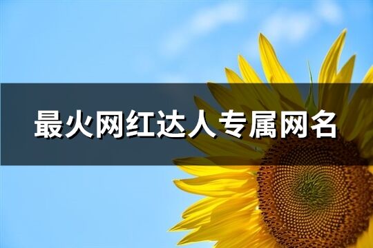 最火網紅達人專屬網名(優選363個)