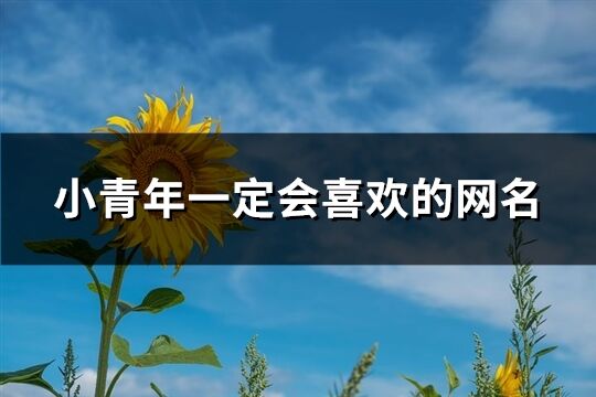 小青年一定會喜歡的網名(優選342個)