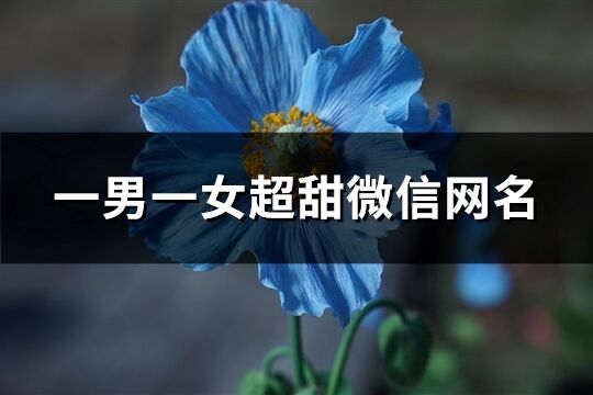 一男一女超甜微信網名(精選257個)