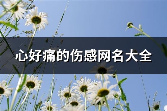 心好痛的傷感網名大全(共1202個)