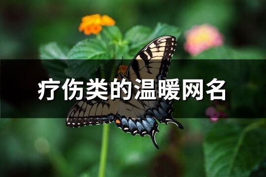 療傷類的溫暖網名(精選114個)