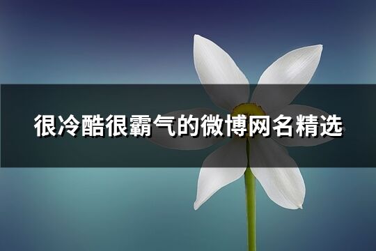 很冷酷很霸氣的微博網(wǎng)名精選(366個(gè))