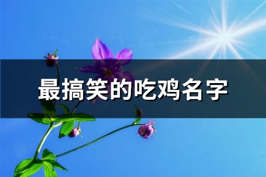 最搞笑的吃雞名字(優選281個)