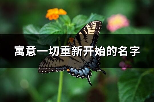 寓意一切重新開始的名字(精選115個)