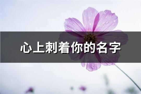 心上刺著你的名字(精選92個)