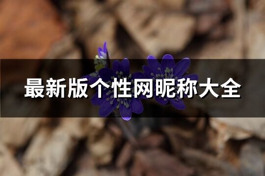 最新版個性網昵稱大全(精選663個)