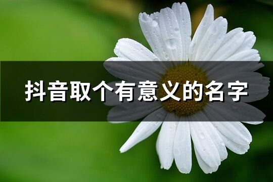 抖音取個有意義的名字(共367個)