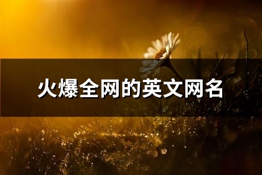 火爆全網(wǎng)的英文網(wǎng)名(精選240個(gè))