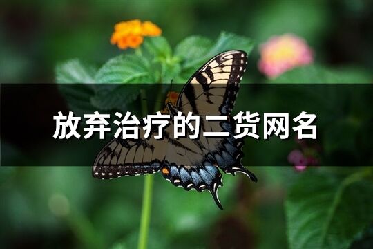 放棄治療的二貨網名(精選1692個)