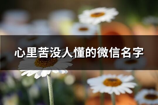 心里苦沒人懂的微信名字(共270個)