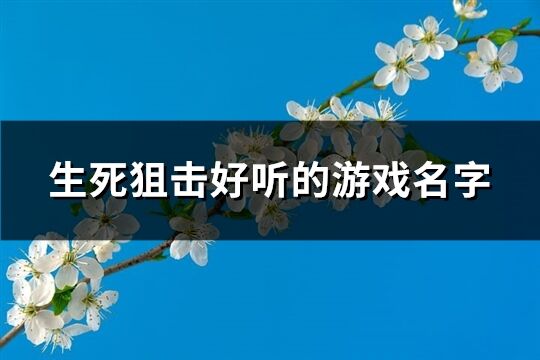 生死狙擊好聽的游戲名字(共124個)