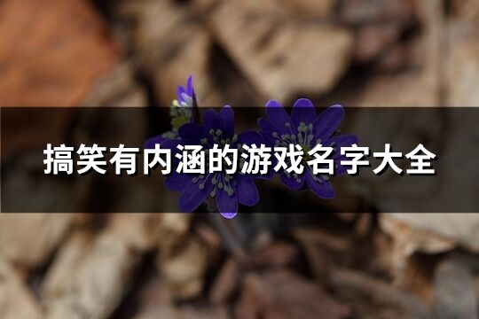 搞笑有內涵的游戲名字大全(精選451個)