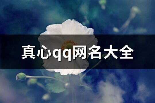 真心qq網名大全(精選433個)