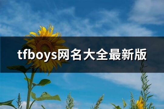 tfboys網名大全最新版(優選65個)