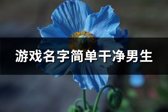 游戲名字簡單干凈男生(164個)