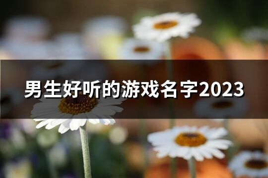 男生好聽的游戲名字2023(共39個)