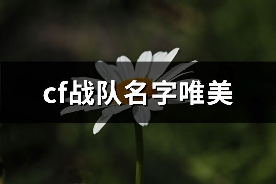 cf戰(zhàn)隊名字唯美(共135個)