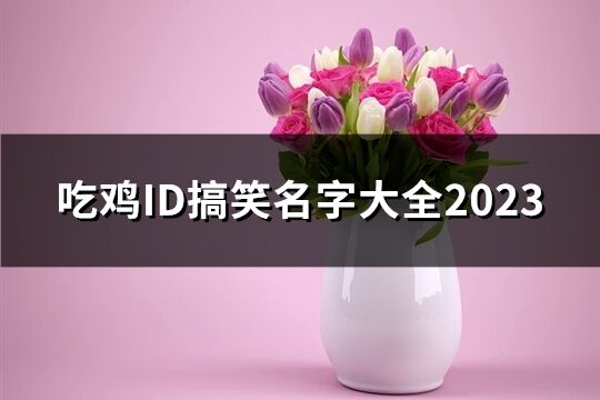 吃雞ID搞笑名字大全2023(61個(gè))