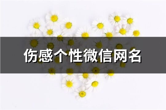 傷感個性微信網名(精選149個)