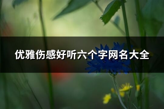 優雅傷感好聽六個字網名大全(633個)