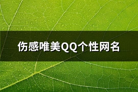 傷感唯美QQ個(gè)性網(wǎng)名(精選98個(gè))