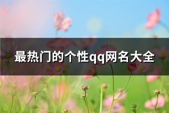 最熱門(mén)的個(gè)性qq網(wǎng)名大全(共63個(gè))