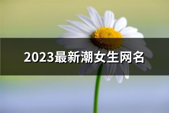 2023最新潮女生網名(精選41個)