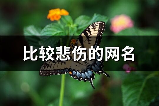 比較悲傷的網名(共387個)