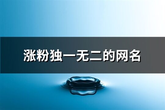 漲粉獨一無二的網名(精選335個)