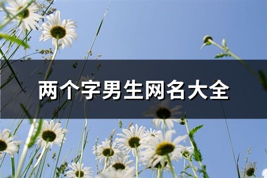 兩個字男生網名大全(精選1497個)