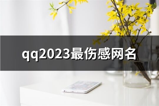 qq2023最傷感網名(共638個)