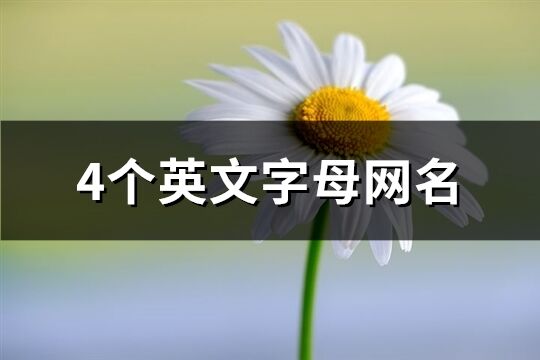 4個英文字母網名(共66個)