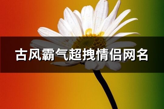 古風(fēng)霸氣超拽情侶網(wǎng)名(精選142個(gè))