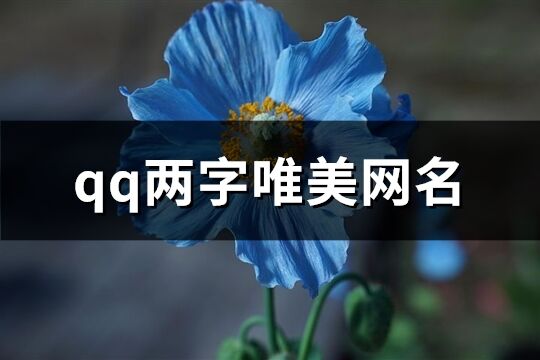 qq兩字唯美網(wǎng)名(690個(gè))