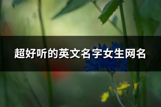 超好聽的英文名字女生網(wǎng)名(169個)