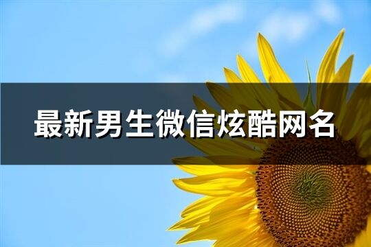 最新男生微信炫酷網(wǎng)名(共834個)