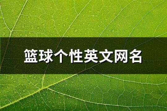 籃球個性英文網名(136個)