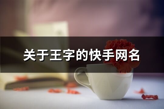 關于王字的快手網名(114個)