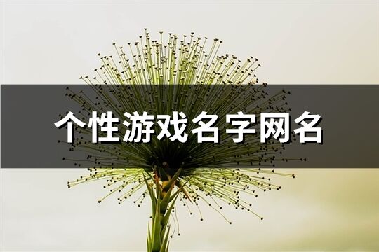 個性游戲名字網(wǎng)名(共95個)