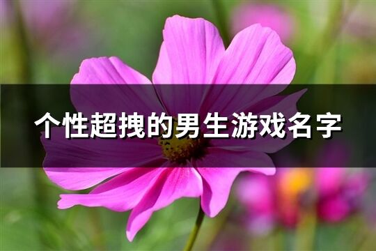 個性超拽的男生游戲名字(共266個)