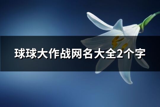 球球大作戰網名大全2個字(優選73個)