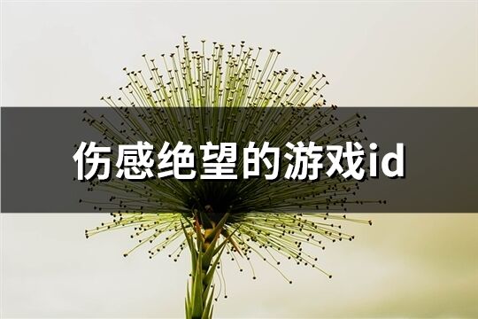 傷感絕望的游戲id(精選582個)