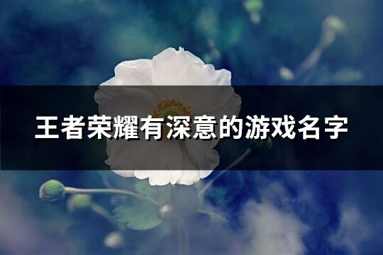 王者榮耀有深意的游戲名字(精選301個)