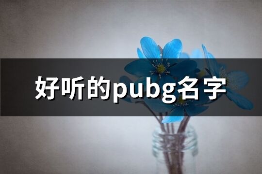 好聽的pubg名字(精選1137個)