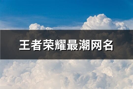 王者榮耀最潮網名(共519個)