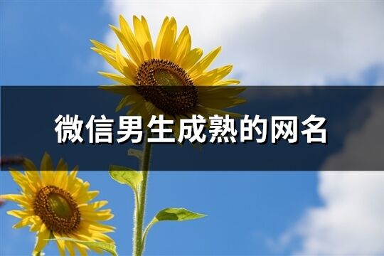 微信男生成熟的網(wǎng)名(1005個)