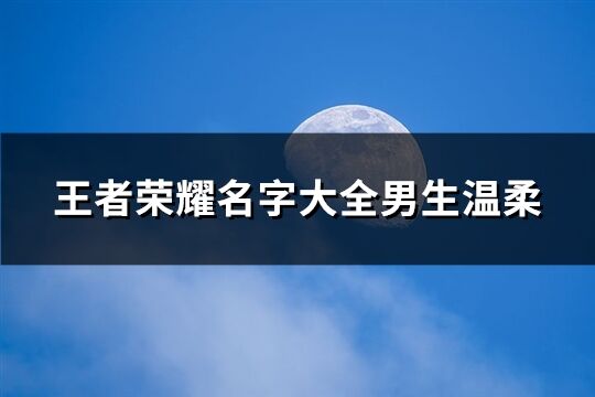 王者榮耀名字大全男生溫柔(共412個)