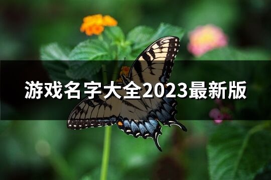 游戲名字大全2023最新版(精選583個)