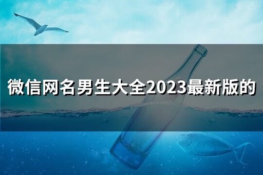 微信網名男生大全2023最新版的(優選147個)